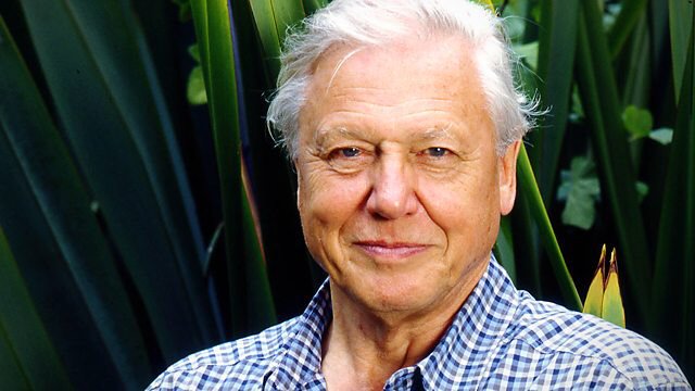 Happy Birthday Sir David Attenborough, Enrique Iglesias, Matt Willis, Melissa Gilbert, Daniel Kaluuya & Phyllida Law 