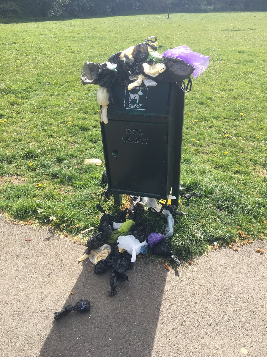 NatalieAllan's tweet photo. @BristolCouncil not nice to see this on the entrance of a kids park been like it for days. Can it be sorted?! Mowbray park Whitchurch ☹️💩 https://t.co/clrzeotEuH