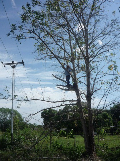 DiariodeCojedes's tweet photo. Cuadrillas de Cojedes ejecutarán labores para optimizar  sistema eléctrico https://t.co/7Hephs8cBh https://t.co/Z7GYMOTFku
