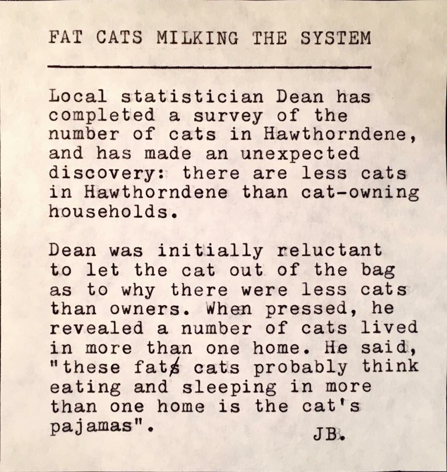 DeneDaily's tweet photo. FAT CATS MILKING THE SYSTEM

#HawthorndeneDaily #Hawthorndene #LocalNews #TypewriterNews #JB #Fatcats #Cats https://t.co/Yyx14LFHyF