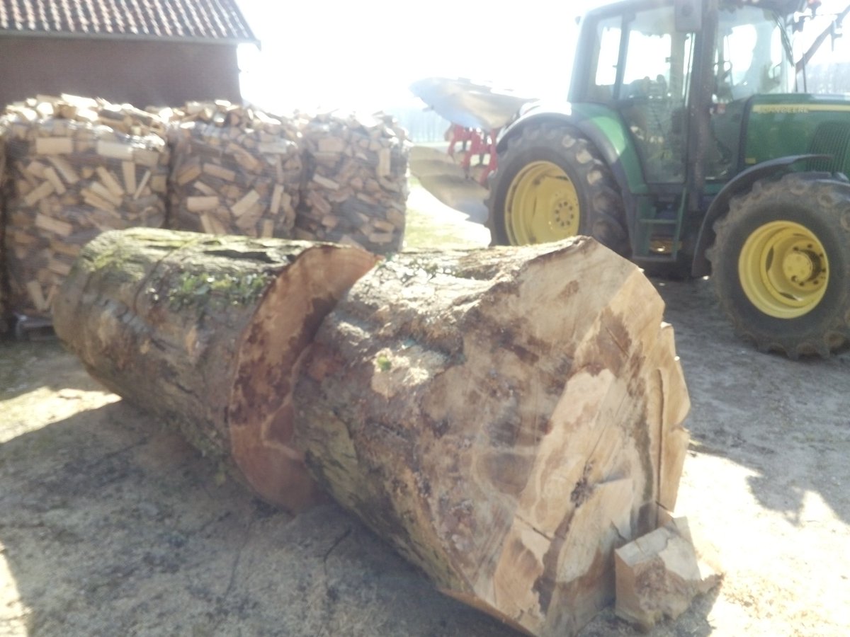 balangereis's tweet photo. 'I cut down trees
I wear high heels'
#python
#cutdowntrees today: https://t.co/KRhoT6A0pq