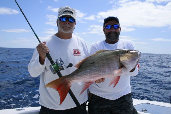 Tune Your Sonar to Find More Bottom Fish buff.ly/2pRhPpd