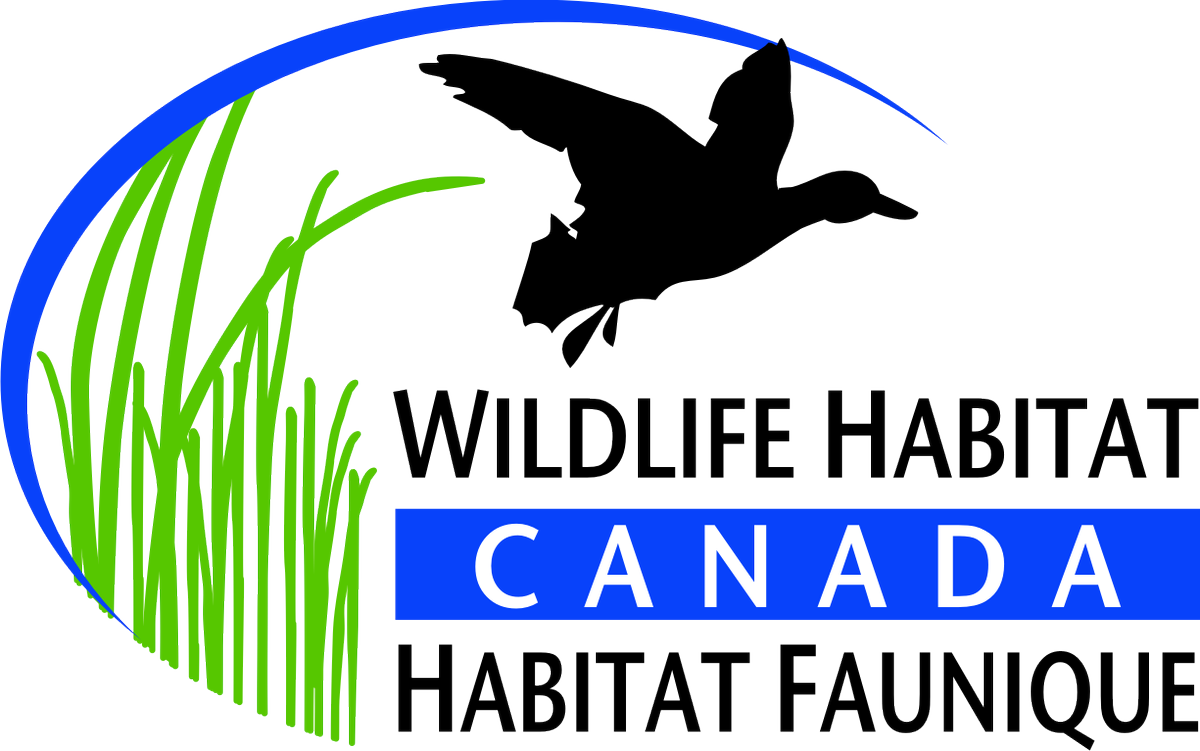 MBHabitat's tweet photo. Thanks to @WildlifeHCanada & CDN hunters (#CanadianDuckStamp), MHHC will #conserve 1500 ac of #waterfowl #habitat in #Manitoba this year. https://t.co/YJMFVLwu1r