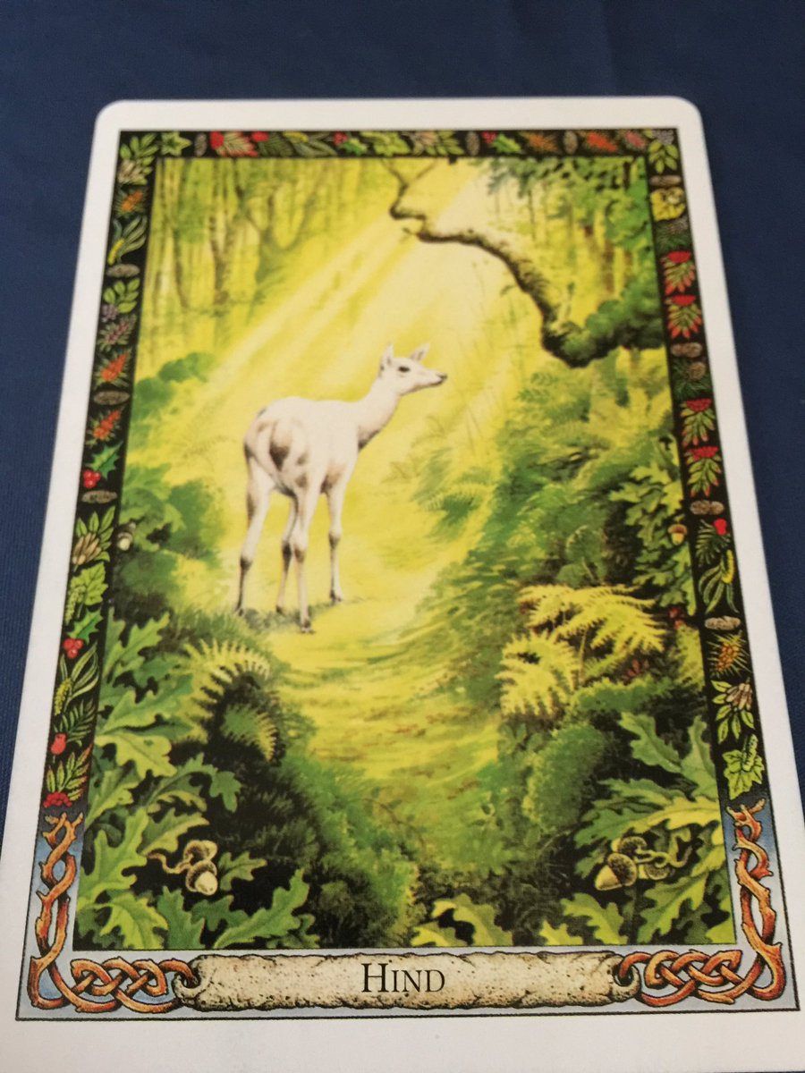 GhostQueenPara's tweet image. #DruidAnimalOracle Subtlety, Gracefulness, Femininity