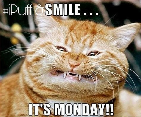 ipuffLimited's tweet photo. #iPuff and #Smile It's #Monday
https://t.co/qiIQ84dmaa #VapeLife #DabLife #Denver #Colorado #Cannabis #VaporPens #Vaporizor #Extracts #nGo https://t.co/WZTLiIfBdB
