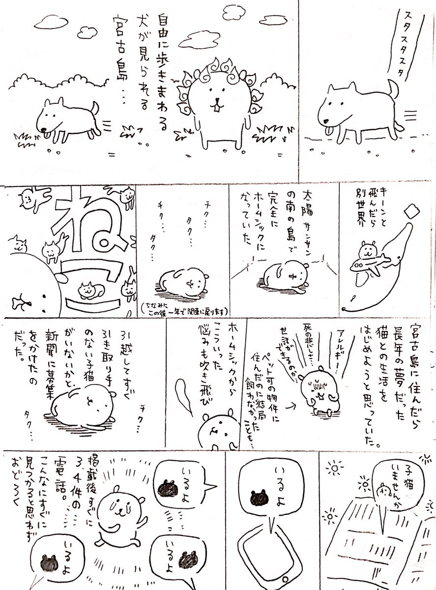 ナガノ しまねこ 時間があるときに描きたいまんがです