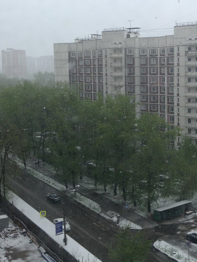 Nadlen_13's tweet photo. Суровый месяц май.
冷たい月。市内で雪。 https://t.co/EX6Hir58fU