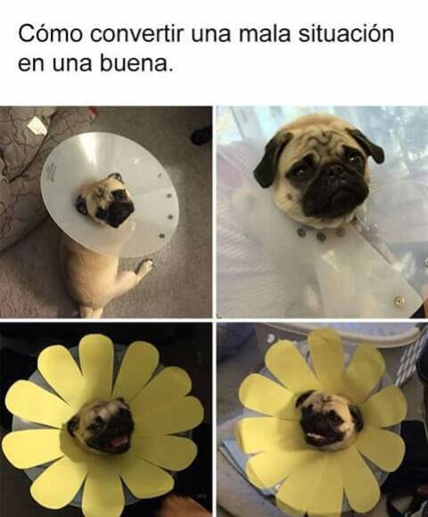 Sáquenle lo mejor a este lunes. Buen día!