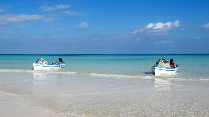 DiscoverTUN's tweet photo. #Hello
How are you doing?
#DiscoverTunisia #VisualOfTheDay #Tunisia #Tourism #Travel #BeautifulDestinations #Beach https://t.co/Xcx1bkyvOC