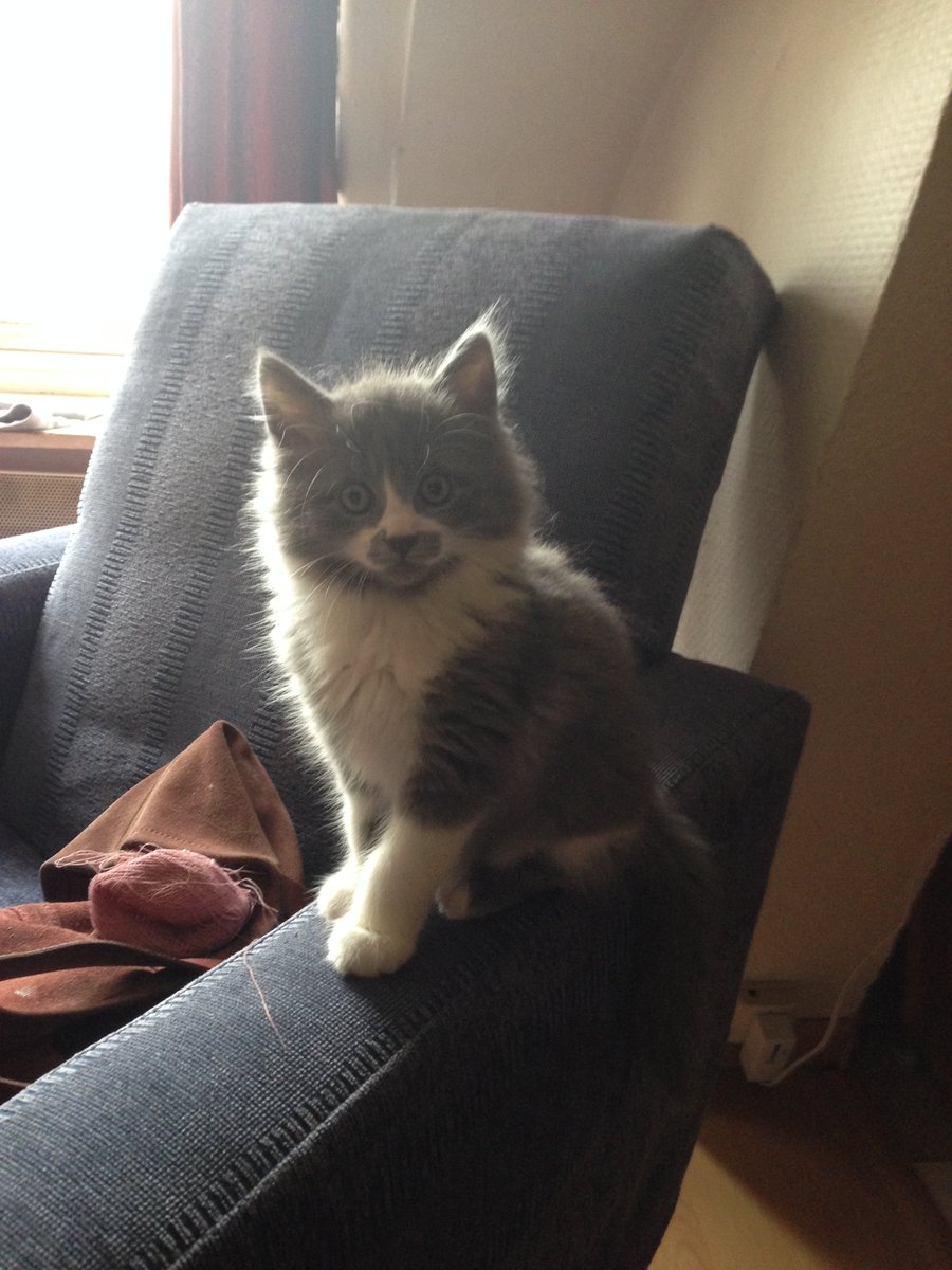 Who goes there? 👀