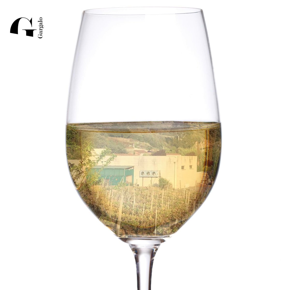 bodegasgargalo's tweet photo. "Detrás de una copa de vino hay un mundo maravilloso"
#BodegasGargalo #nuestrabodega #vinos #Galicia #winelovers https://t.co/WcDgglzLMA