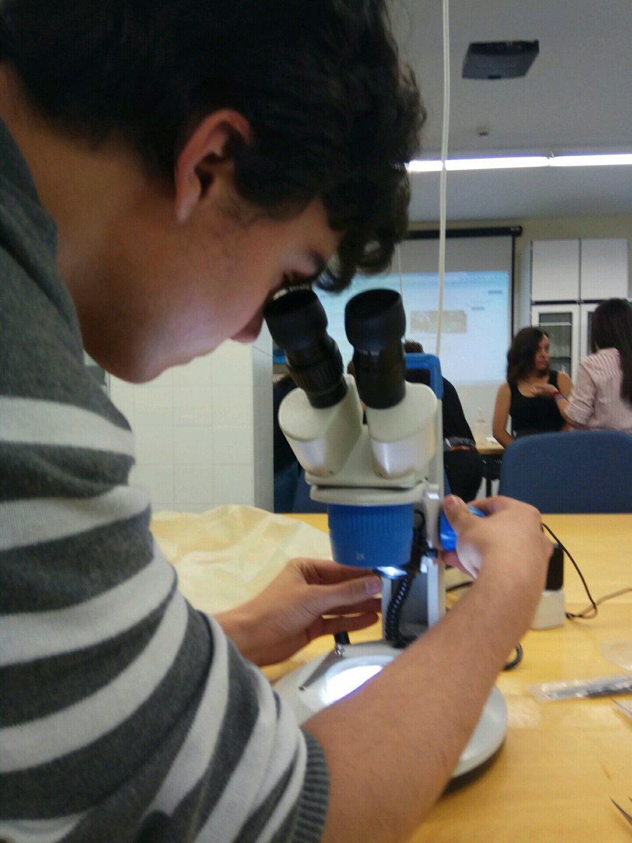 YRAGroupLH's tweet photo. Classifying animals for the #riverproject. @NSPC_I https://t.co/39jw7d4Uz5