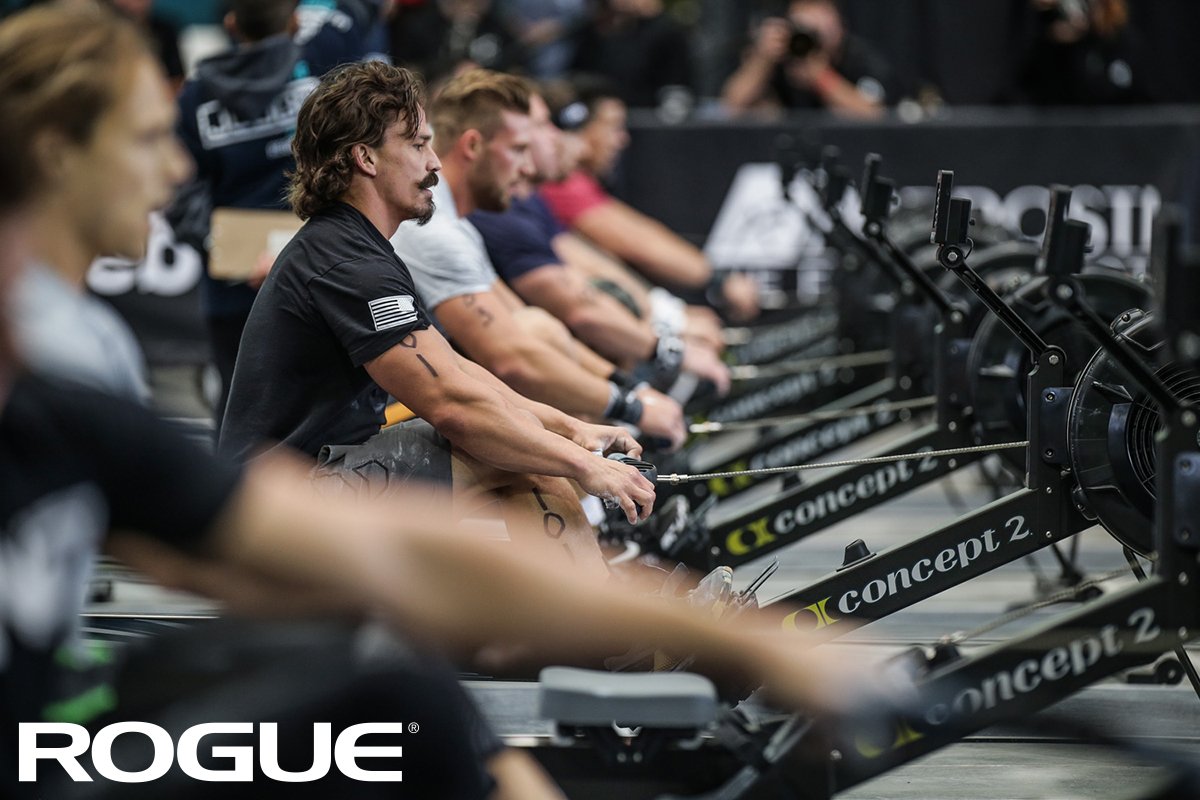 concept 2 model d rogue