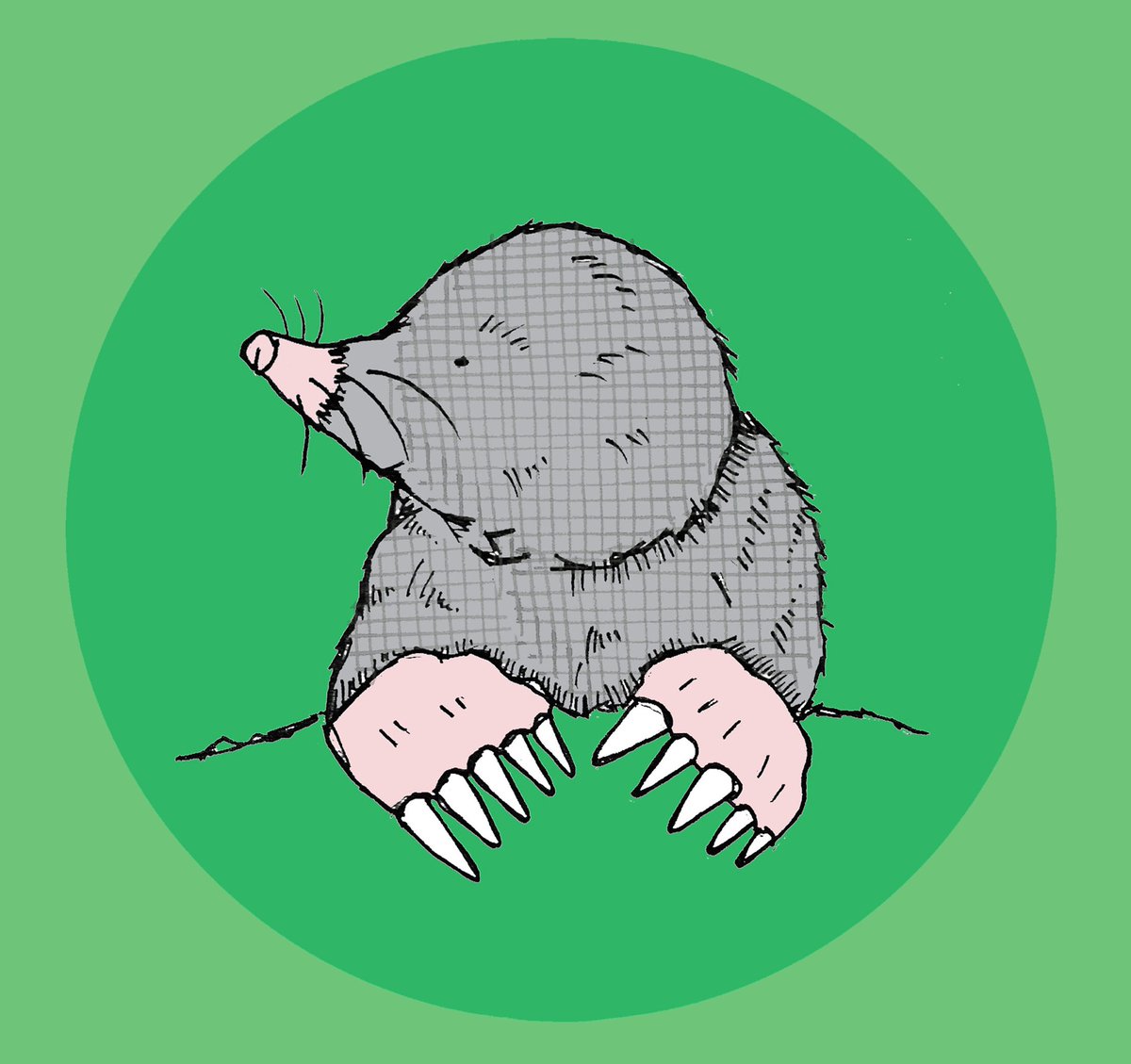 Meet Molly Mole this #SunAwarenessWeek &amp; don't forget to check your moles! britishskinfoundation.org.uk/Home/News/Meet…