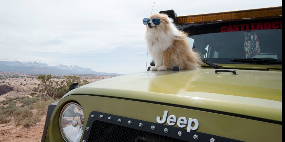 Jeep's tweet photo. Who's your adventure companion? https://t.co/AuSImQX3eC