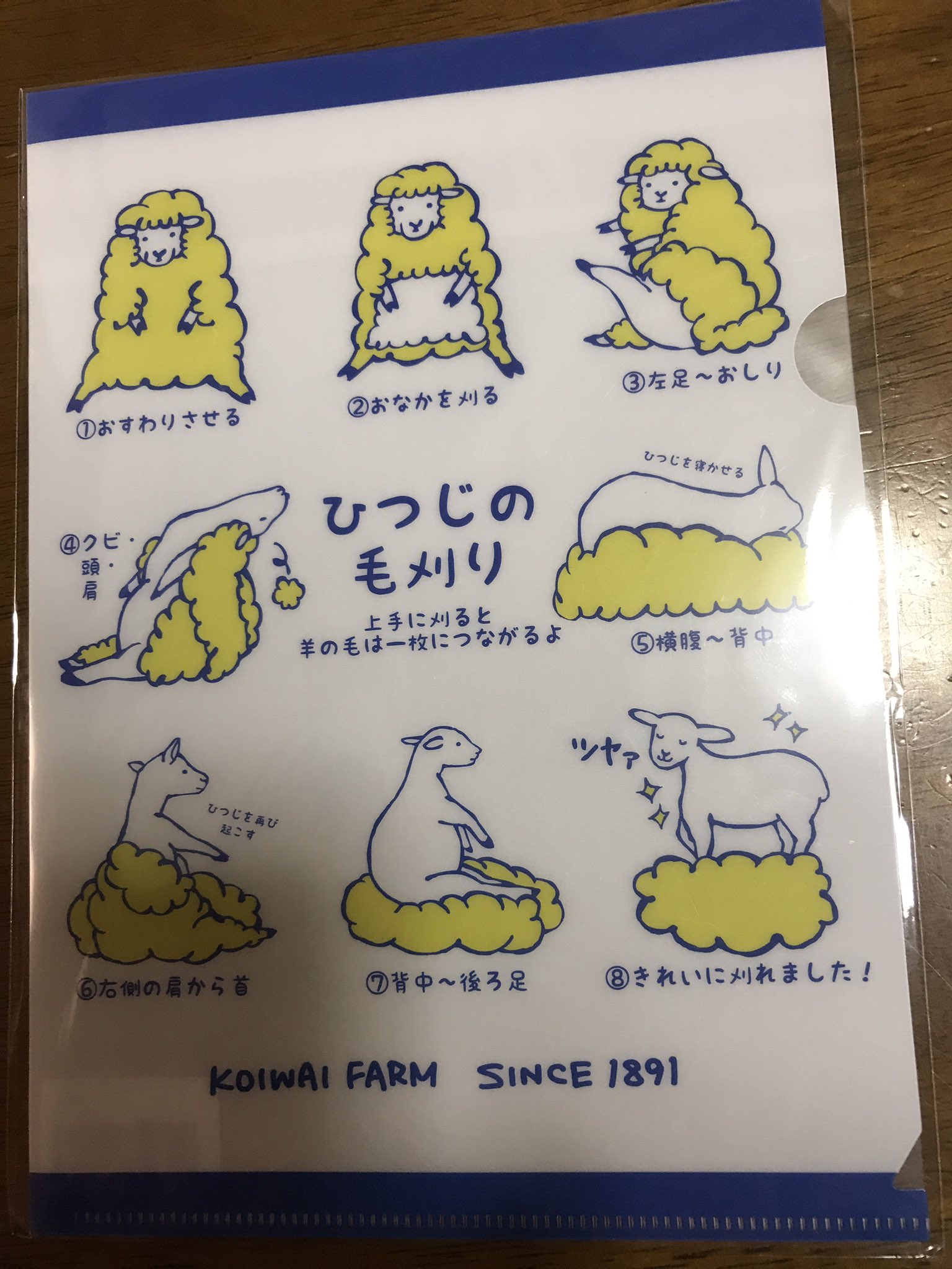 こんな感じで刈るんだ ひつじの毛刈りクリアファイルが可愛すぎる 話題の画像プラス