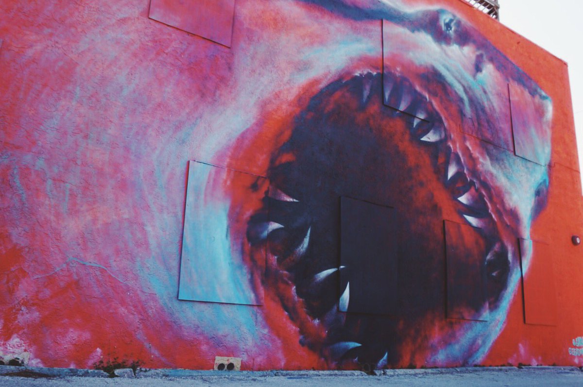 egadlife's tweet photo. Mondays be like... #sharktoof #EGAD #eaugallieartsdistrict https://t.co/ebAfGmBwav