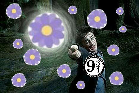 platform934MTY's tweet image. Facebook en estos momentos!
#facebook #harrypotter #facebookreact