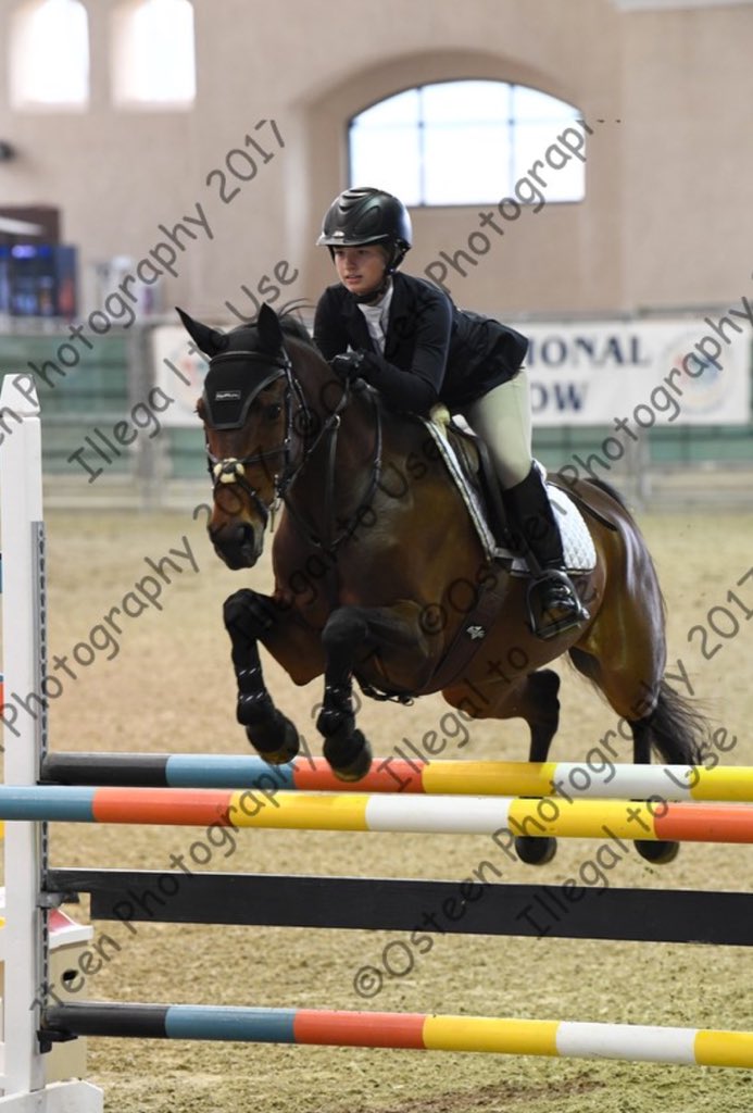 zone10jumper's tweet photo. Journey was so good this weekend at Del Mar national and then the Tori Colvin clinic 😍😍 https://t.co/Aq70kUqAzs