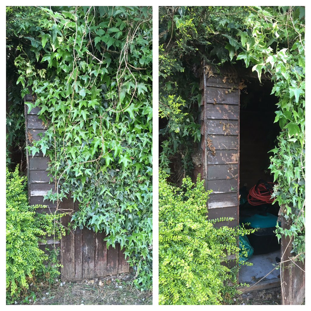 sali_says's tweet photo. @TheoPaphitis @RobertDyas Here's #myshed It's a #secretshed which even I struggle 2 find! Whilst it still stands it keeps my 10 year old lawn mower safely hidden π https://t.co/t8YBrEttxk
