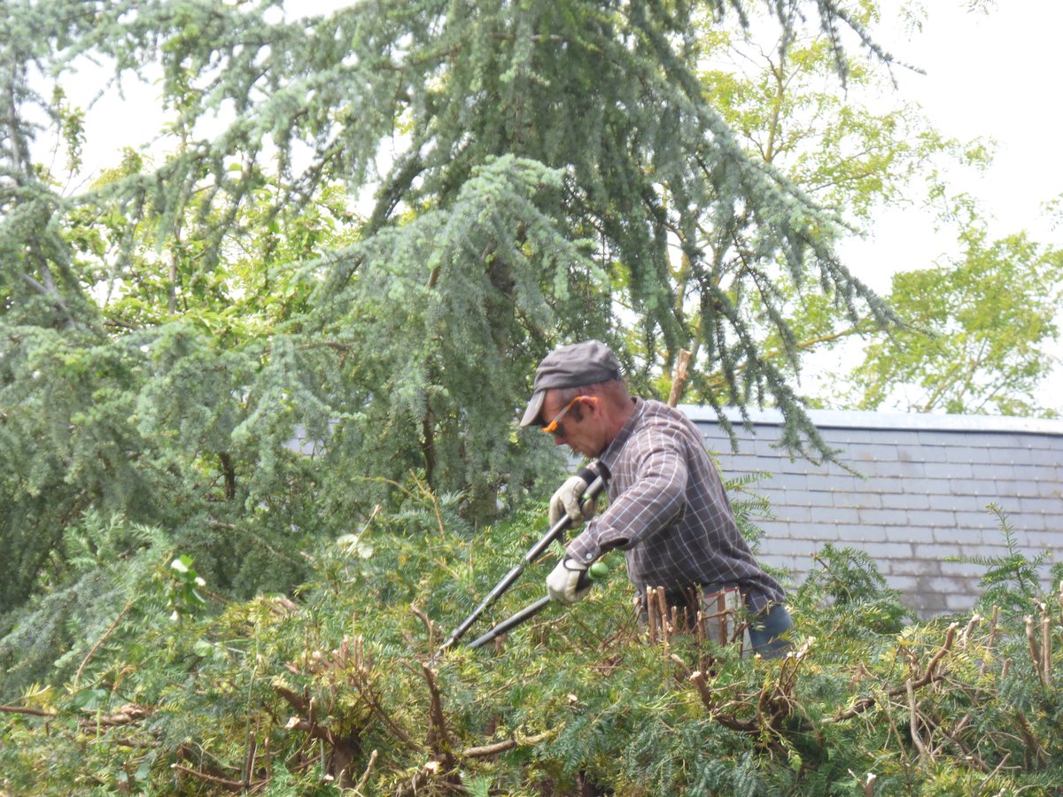 David GUTSCHER tweet media