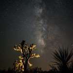 Fancy Crave tweet media