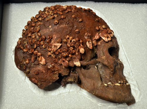 Prof Jamie Woodward on Twitter: "The Lady of Cavillon: 25,000-year-old skull decorated in sea-snail shells and red ochre from an #IceAge burial near the France/Italy border. https://t.co/1f4x2cnMkm" / X