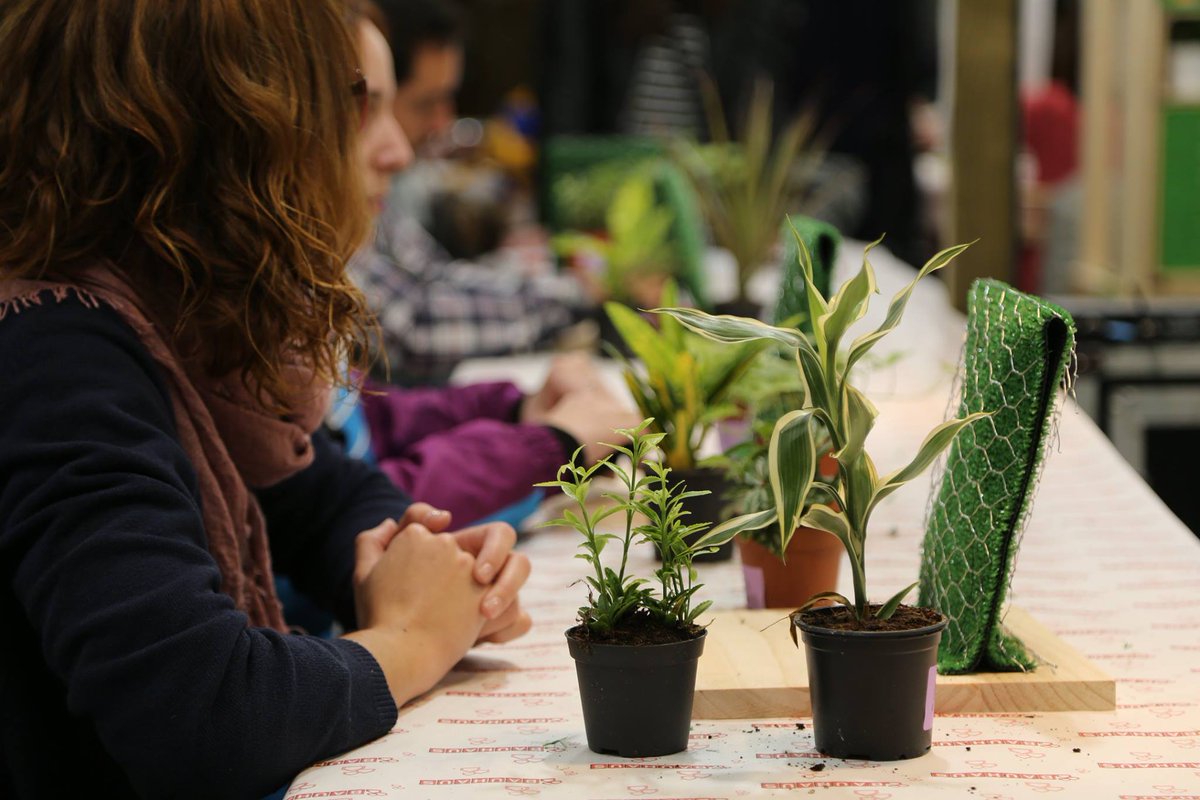 HMFbcn's tweet image. 🌱 Com ens agraden les plantes!  (I si les podem utilitzar tot fent una manualitat molt millor!)