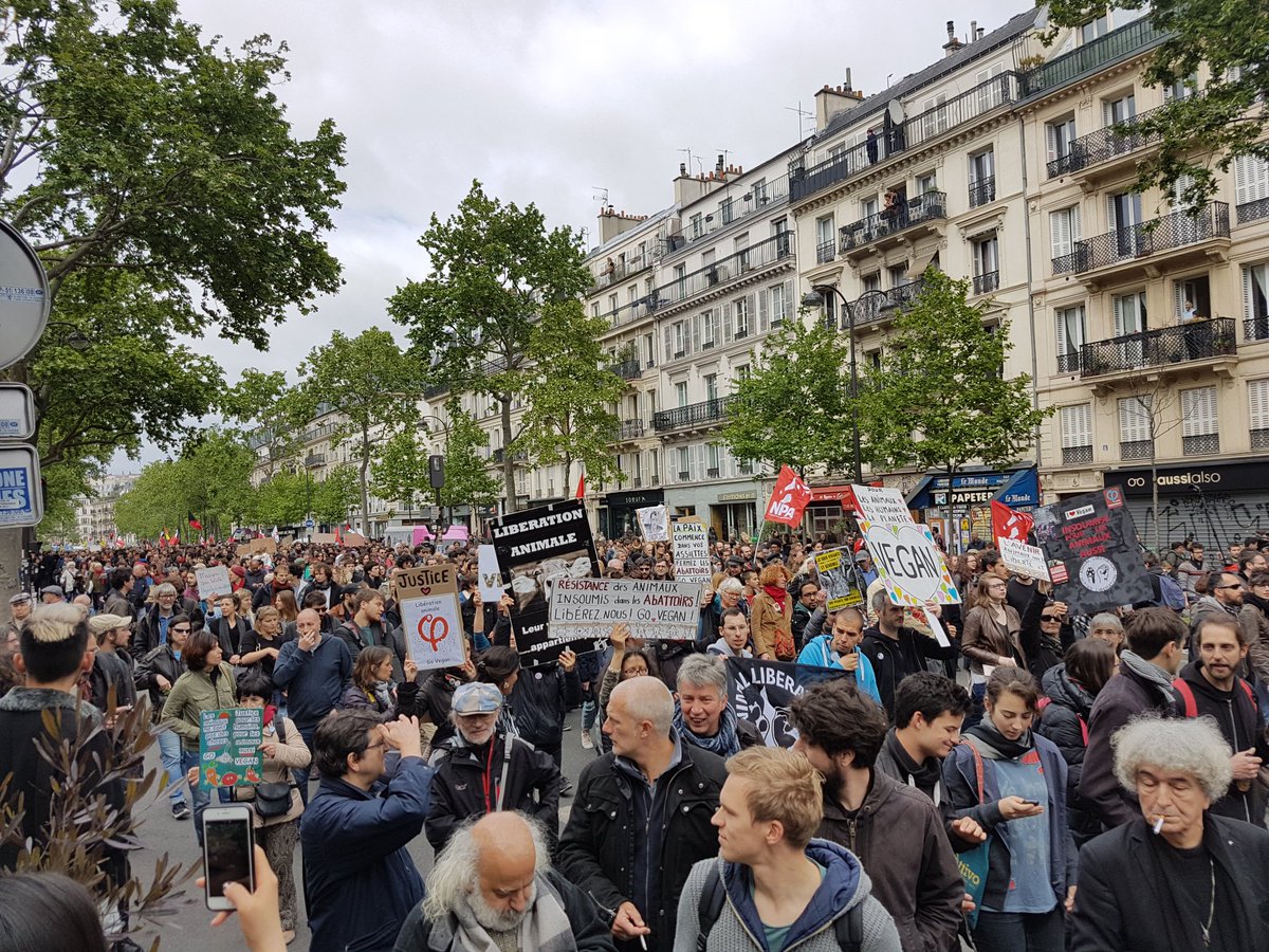 StefStouf's tweet image. #onlacherien #Résistance avec beaucoup beaucoup de monde pour le #FrontSocial ! ✊🌿 #FranceInsoumise :p