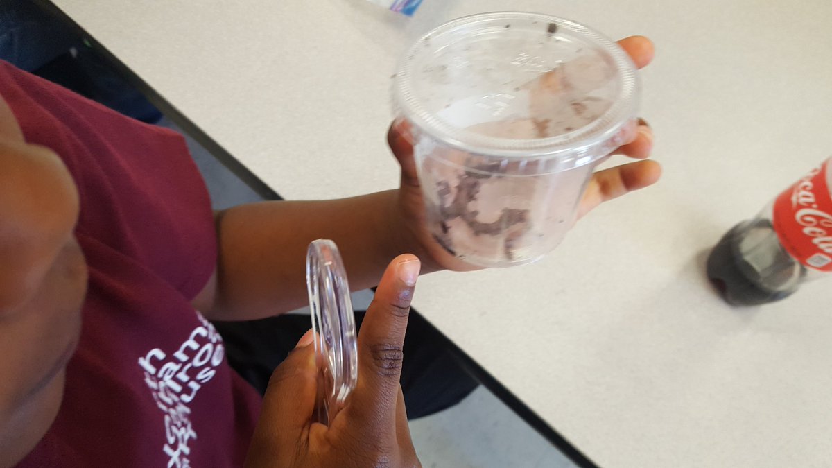 PreKTeacher22's tweet photo. What better way to learn about bugs than to hunt for and examine them! @mrsmc_ees @DKS4PV @MadCoSchools @HomeoftheCubs #ournewnormal https://t.co/j2xPGPBgAL
