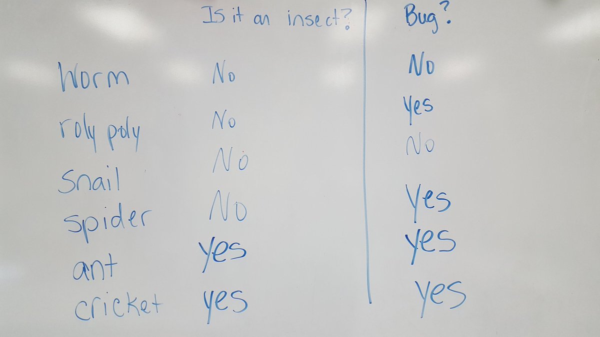 PreKTeacher22's tweet photo. .@mrsmc_ees @DKS4PV @MadCoSchools @HomeoftheCubs Of course then we have to determine if they are insects or bugs or not! https://t.co/0BIS4EOgQz
