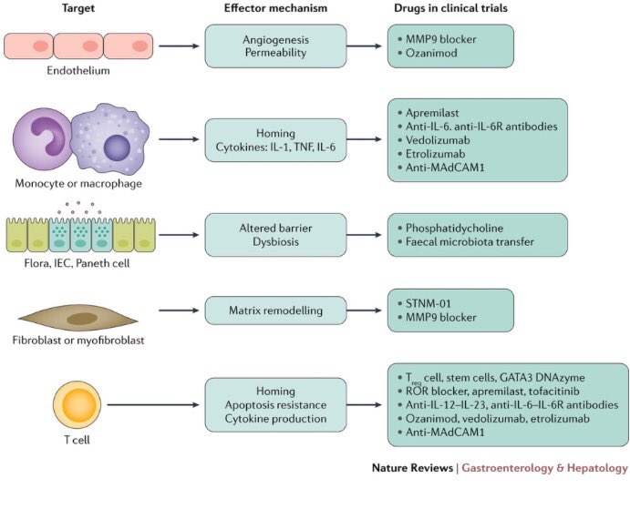 NatRevGastroHep's tweet image. Struggling to keep up with new #IBD drugs &amp;amp; their targets? Check out these Reviews go.nature.com/2ppba3A nature.com/nrgastro/journ… #DDW17