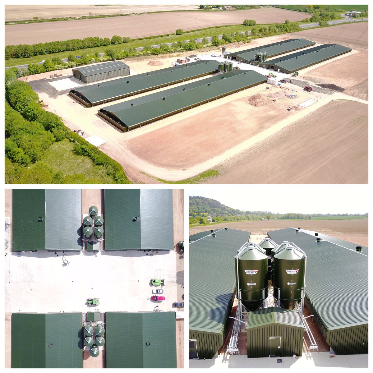 Brian Moxon tweet media