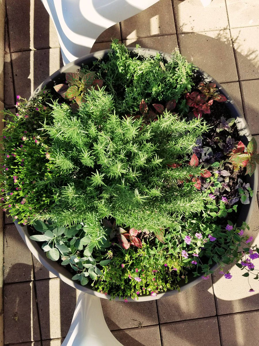 LandDesignInc's tweet photo. A few #landdesigners came in over the weekend to beautify our balcony. Now its time to take full advantage this summer! #MondayMotivation https://t.co/o3UKxWcqXT