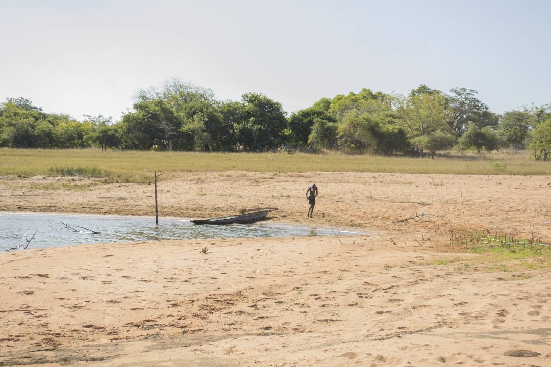 magcorforbes's tweet photo. Trees are important because they protect the environment from Soil Erosion #plantamilliontrees #Magcor/SEED foundation partnership https://t.co/vVSz2GucTz