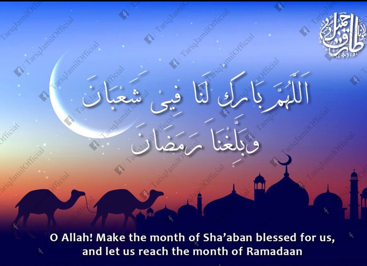 Aabzafg's tweet photo. https://t.co/t8Wfn8Unti