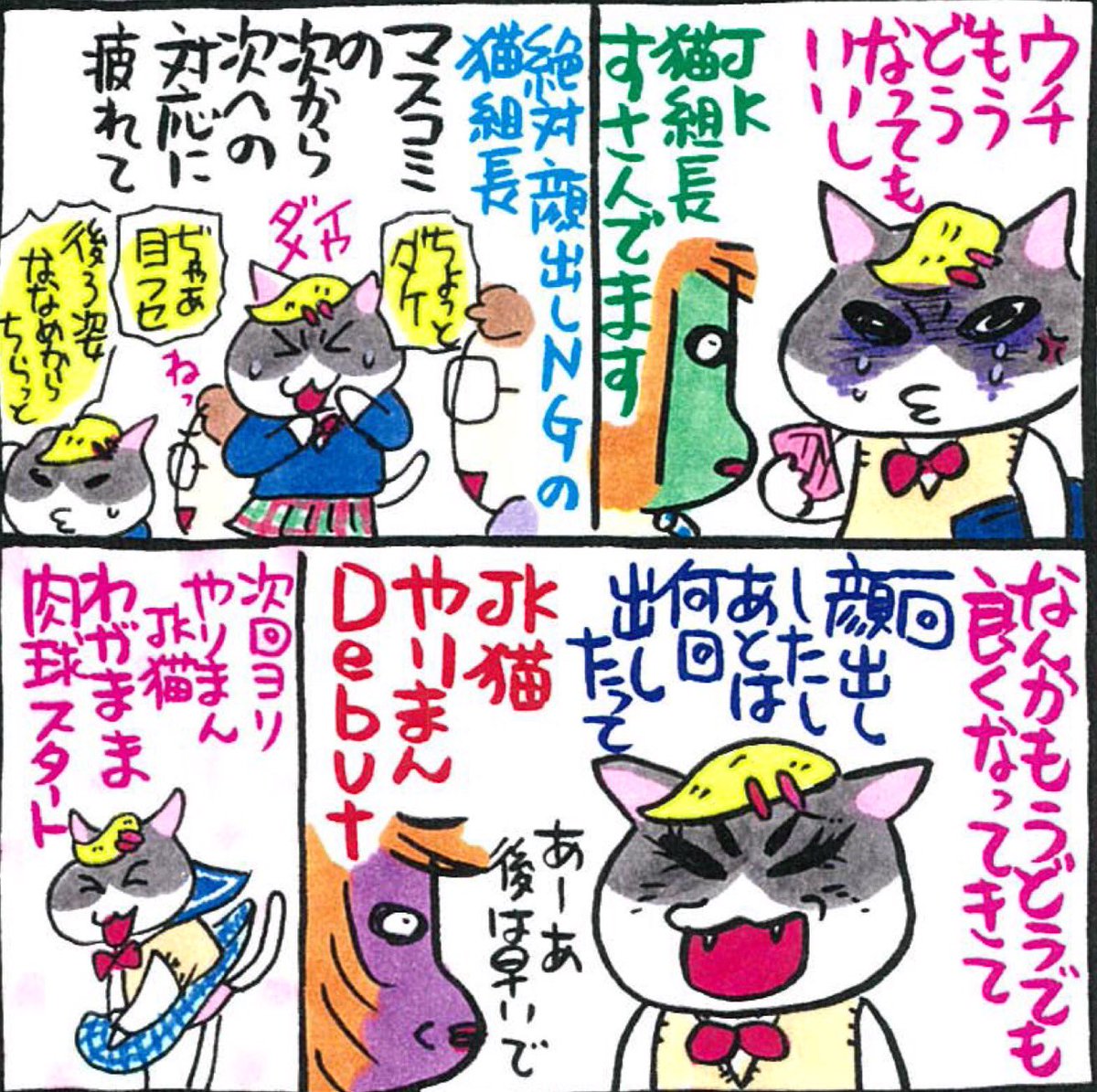 猫 組長 ツイッター