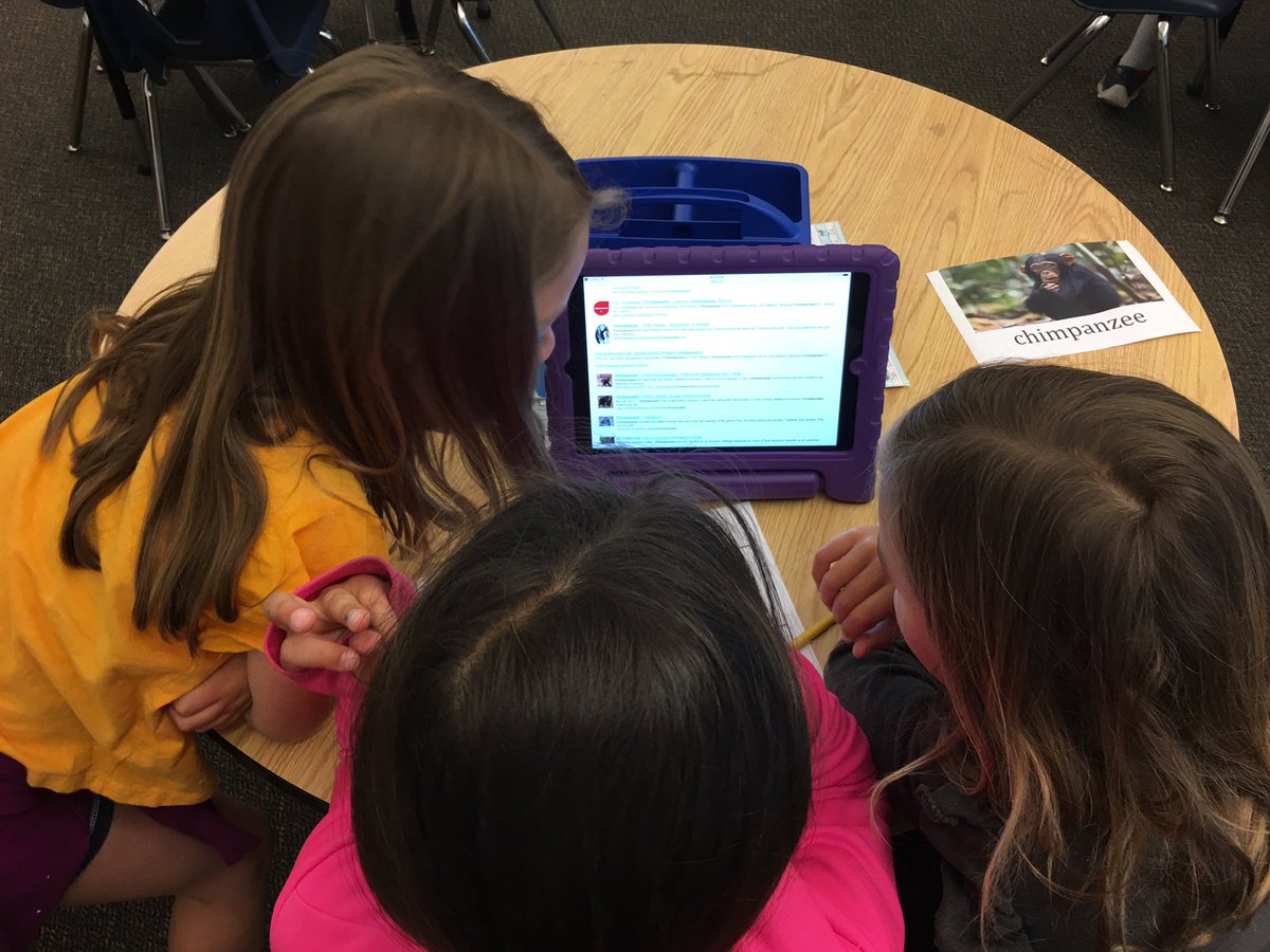AmberFergusonGB's tweet photo. Collaborating and researching animals of their choice @GardnerGrizzly @lasdk8 https://t.co/IviYuCkOVd