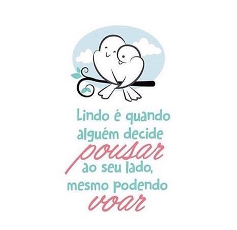 novas_frases tweet media