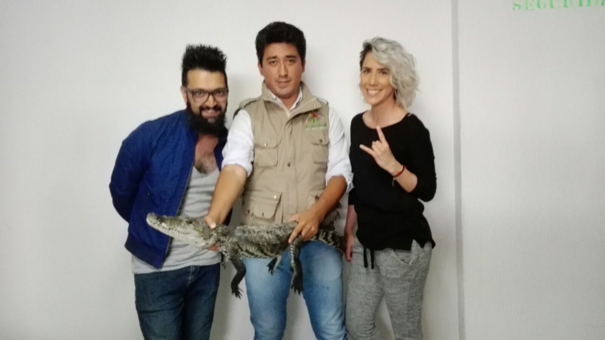Capital21_Tv's tweet photo. Nuestros invitados @DalunaMusic de esta mañana en @TuCiudad_Es conociendo más sobre el "Cocodrilo Morelet” con Ezequiel Moreno. https://t.co/OnGyNUniZo