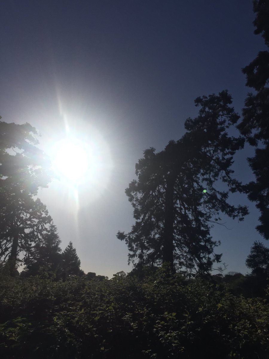 xpinkxice's tweet photo. Making my way home https://t.co/5SdweOsKGB