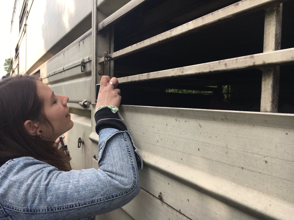 EssexPigSave's tweet image. Thank you to everyone that joined us at our solidarity vigil to #bearwitness &amp;amp; show our support to Anita &amp;amp; @TorontoPigSave #PigTrial 🐖❤