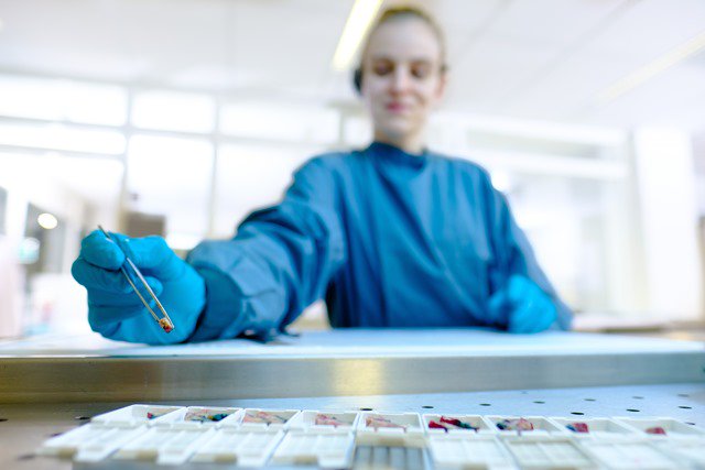 Het belang van testen op BRCA1,BRCA2 mutaties bij jonge borstkankerpatiënten. Promotie van Alexandra van den Broek: bit.ly/2pndc2G