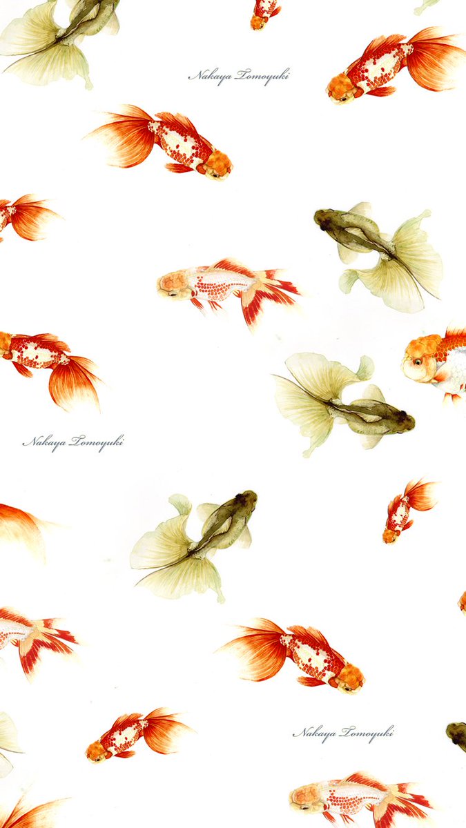 ナカヤトモユキ 水彩作家 Pa Twitter 夏用 前に上げた 見つからなかった 金魚の Iphone6 6plus用 壁紙を ガチ制作会 博物ふぇす 水彩