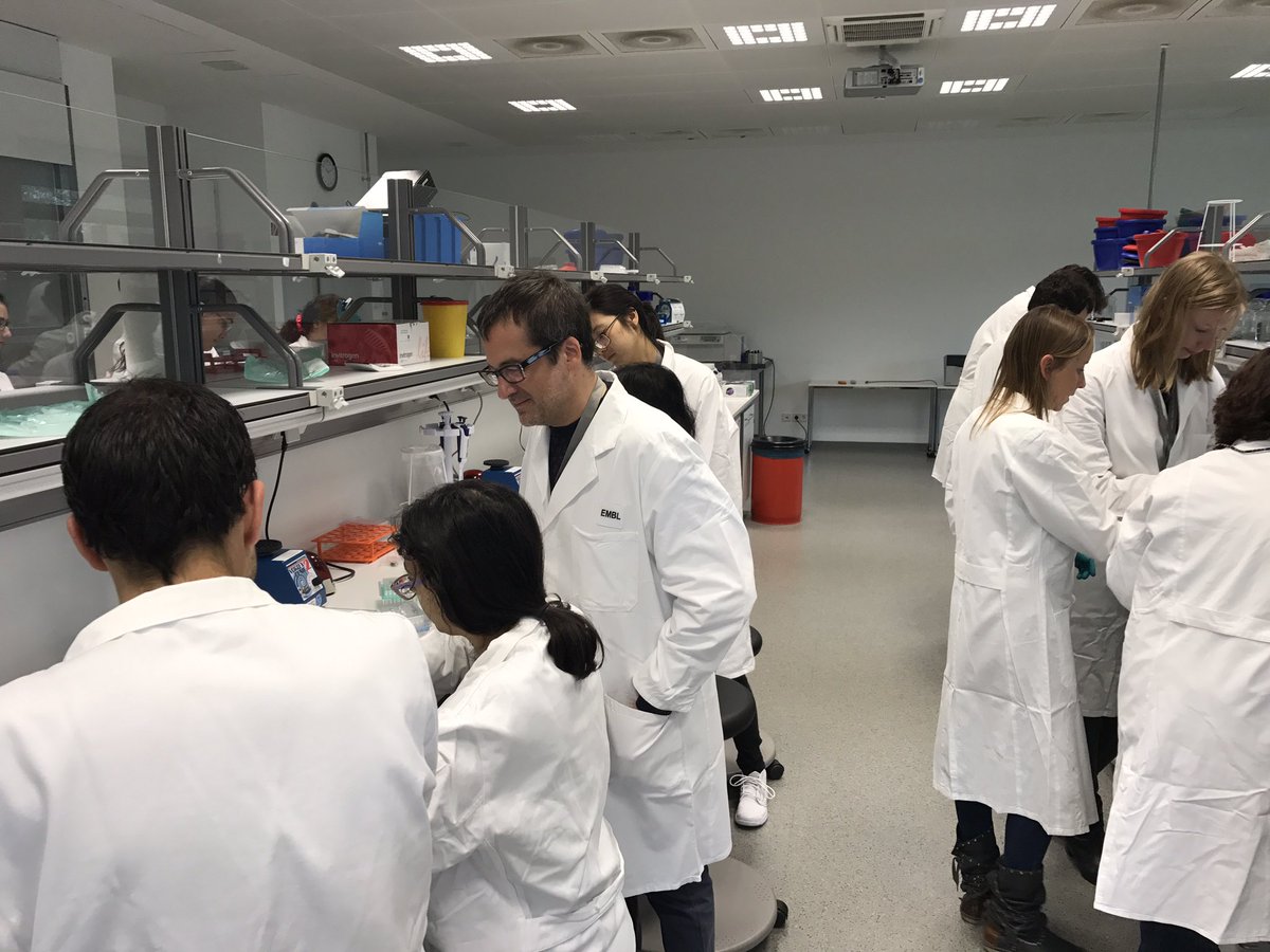 eglezpastor's tweet photo. Metagenomic DNA isolation At EMBL course: Metagenomics: a 360 Approach https://t.co/VZwDT9z3VJ…. #EMBLMEta https://t.co/2cwXQJzEdS