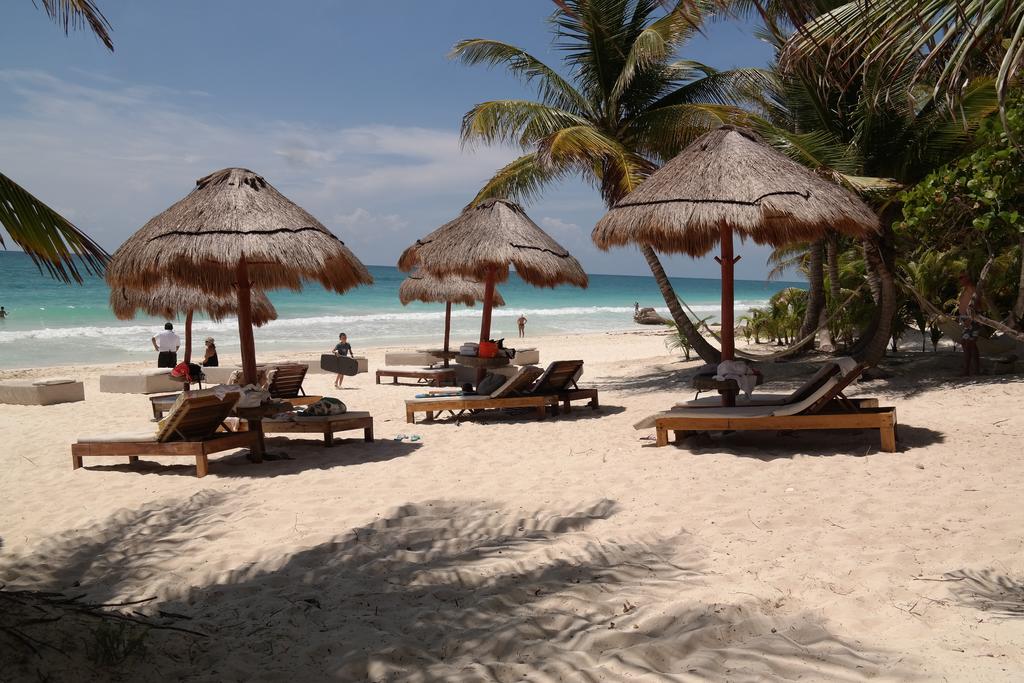 Alen_Travel's tweet photo. Special price offers for today in Tulum:-)
https://t.co/3knKlmPCji https://t.co/vyjnaZBJCw
