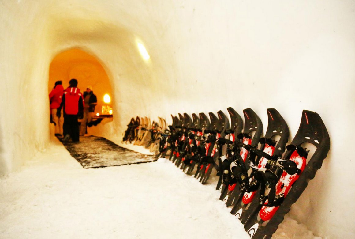 Els hotels més singulars de Catalunya. Una cabana a un arbre, habitacions de vidre o dormir a dins d'un iglú?  timeout.cat/barcelona/ca/b…