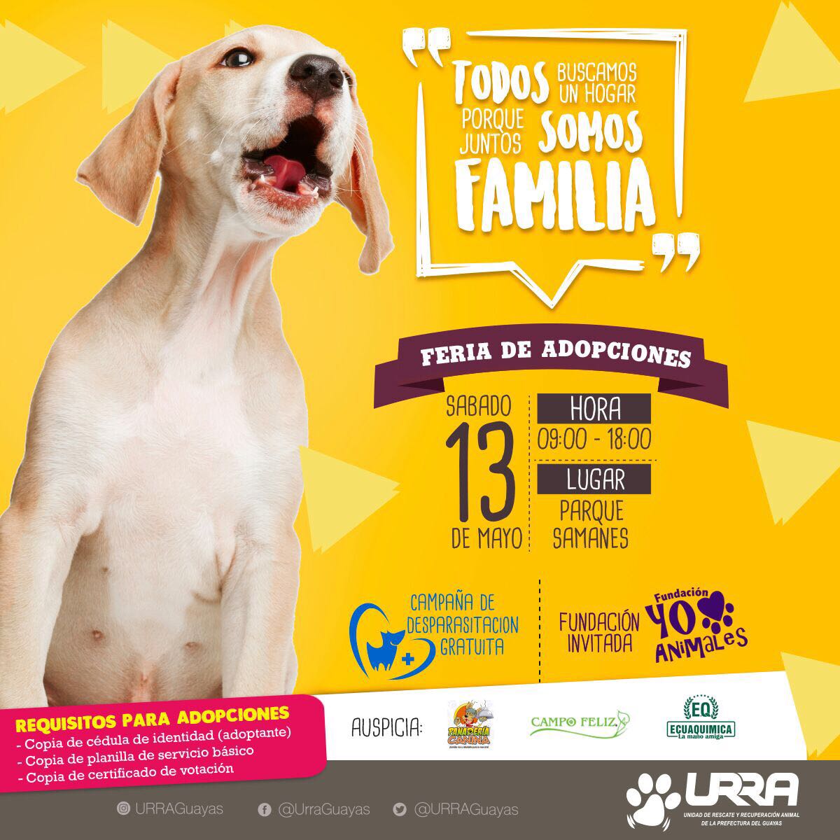 jimmyjairala's tweet photo. Los esperamos el sábado! https://t.co/TxZNcCyPLL