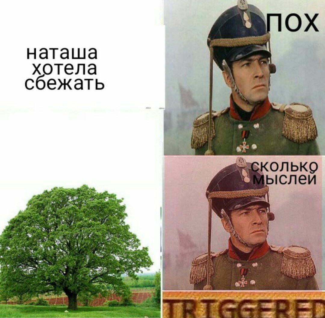 Война и мир мемы