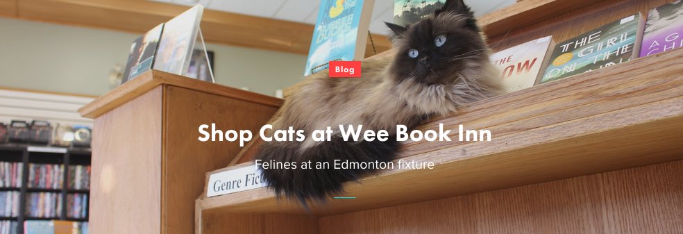 Walkable Edmonton tweet media